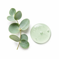 Rama de eucalipto con gota de gel, ingrediente purificante de Oddities