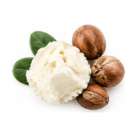 Manteca de karité con nueces de karité, ingrediente nutritivo del bálsamo labial Get Lippy de Oddities