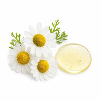 Flores de manzanilla con gota de aceite, bisabolol calmante de Oddities